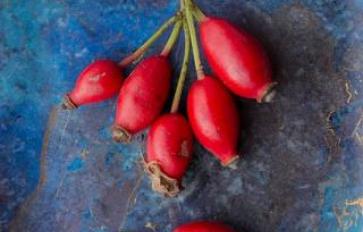 Rosehips: 3 Easy Ways to Use Them