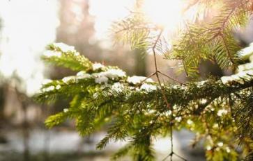 The Sunshine Vitamin: How to Get Your Vitamin D in the Winter 