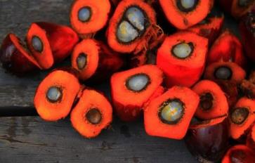 The Dark Truth About Palm Oil And 3 Healthy Alternatives