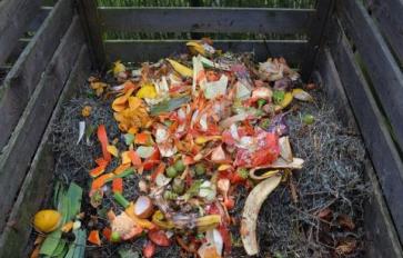 Organic Home Gardening: 7 Basic Steps for Creating a Compost Pile