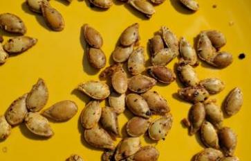 Vegan Snack: How to Roast Butternut Squash Seeds