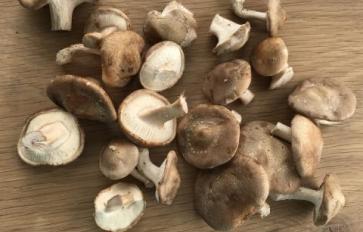Mushroom Magic For Heart Health