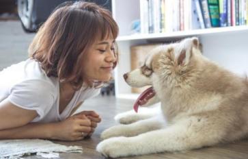 5 Health Benefits Associated with Having a Pet