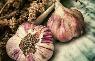 Gorge On Garlic: Health-Food & Medicine