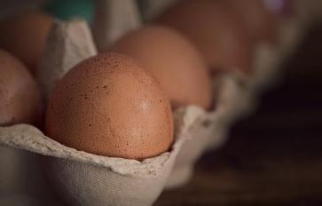 Cracking the Egg Label Code