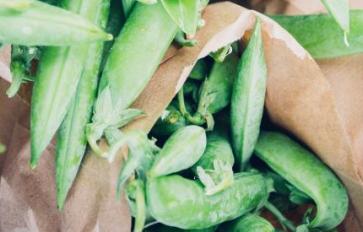 Superfood 101: Fava Beans!