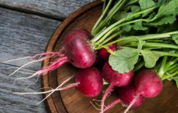 5 Vegetables To Extend Your Growing Season Through Fall