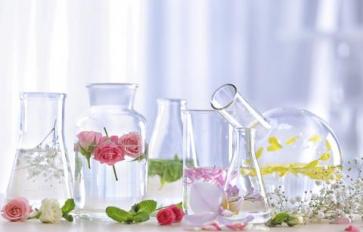 How To Make Plant Perfumes