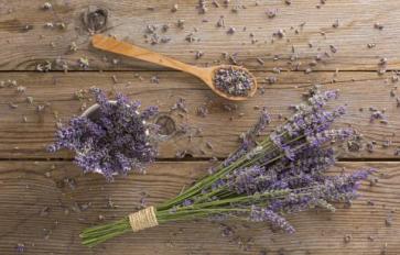 Essential Oil Essentials: Hole-y Moly! 5 Natural Moth Repellents