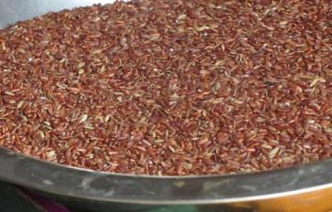 Superfood 101: Red Rice!