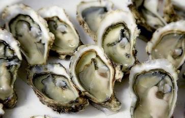 Celebrate National Seafood Month With Oysters