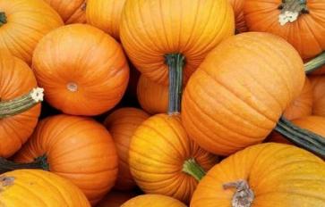 4 Health Benefits of Pumpkin Seeds