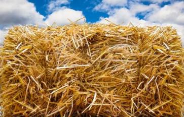 Living Off The Grid: Straw Bale Cold Frames 101