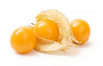 5 Reasons To Grow Ground Cherries This Spring