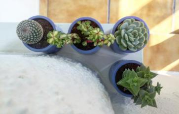 4 Reasons You Want A Succulent By Your Bedside