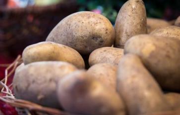 Vegan Thanksgiving Sides: Garlic Mashed Potatoes & Balsamic-Roasted Carrot