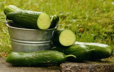 Healthy Dish: Cucumber & Garbanzo Bean Salad