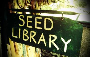 Seed Libraries: What You Need To Know