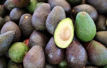 Superfood 101: Avocados!