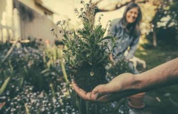 Tips & Tricks: Gardening Naturally with Everyday Household Items