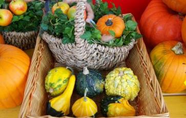 October’s Bounty: 5 Must-Have Seasonal Produce Items