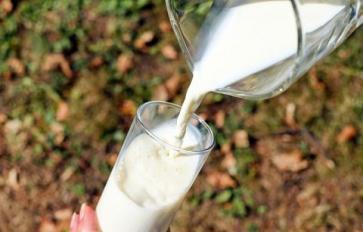 Short Story: When Lactose Intolerance is Really Pasteurization Intolerance