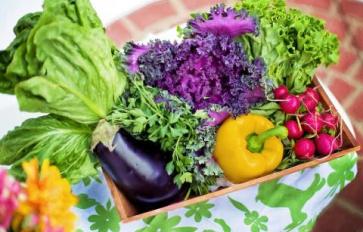 How To: Crop Rotation For Your Kitchen Garden