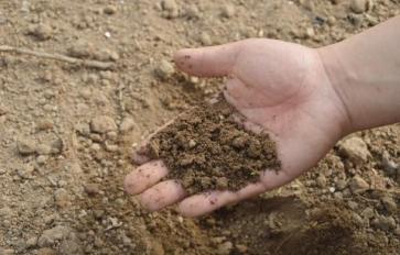 New Company Helps Dirt-Rich Find Dirt-Poor
