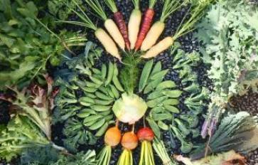 Try Edible Landscaping