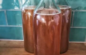 How to Make Your Own Kombucha in 10 Steps