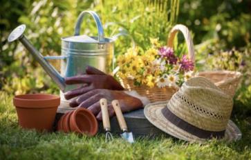 Organic Home Garden Series: 6 Must-Have Gardening Tools