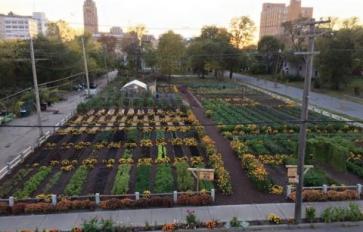 Urban Agrihoods: Reimagining Green Urban Neighborhoods
