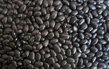 Superfood 101: Black Beans!