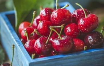 No-Bake Cherry Granola Bites (Vegan, Gluten-Free)