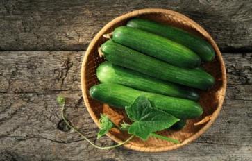 Superfood 101: Cucumbers!