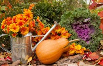 How To Prepare Your Garden For Fall