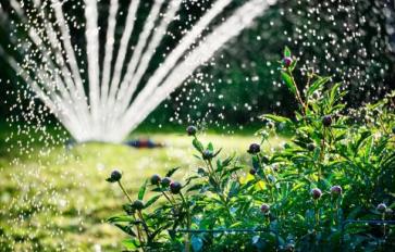 How To Conserve Water In Your Sustainable Home Garden