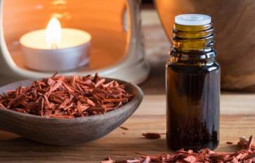 Essential Oils: The Physical & Spiritual Uses of Sandalwood