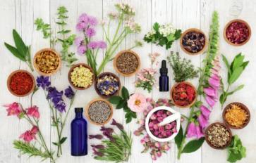 Essential Oil Essentials: Seasonal Scents For Your Home