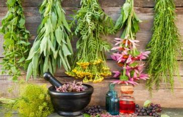 The Ritual In Plant Medicine Making