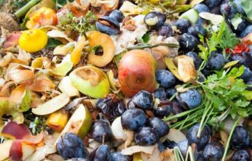 5 Ways To Waste Less Food