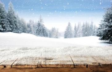 10 Ways To Enjoy Nature This Winter