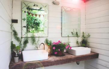 10 Best Bathroom Plants