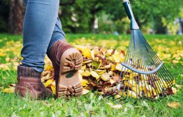 What Happens To Yard Waste In The Landfill?
