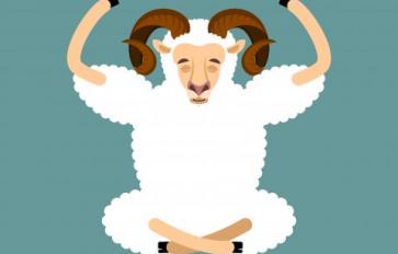 Goat Yoga: Making Yoga Playful