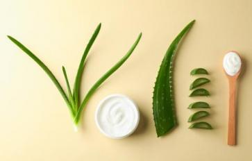 Natural Sunburn Relief: 4 DIY Skin Soothers Featuring Aloe Vera