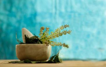 Grow Your Own Herbal Tea Garden With These 5 Herbs