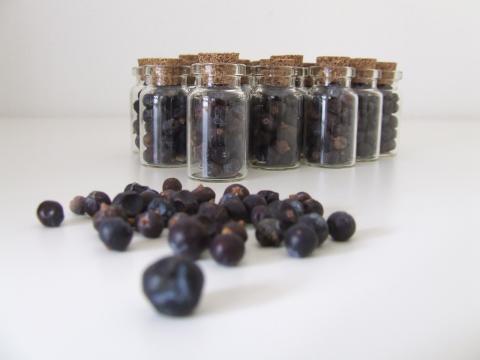 Juniper Berries – Gather Food Studio