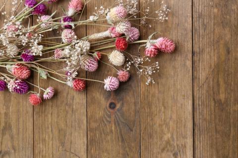 How to Harvest and Dry Flowers & Herbs From Your Garden